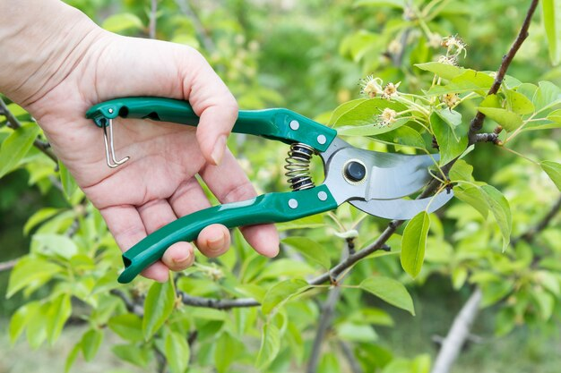 Garden Shear