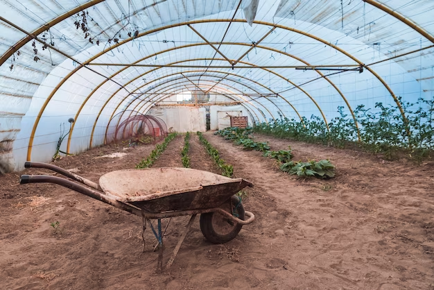 Wheelbarrow in an Indoor Garden