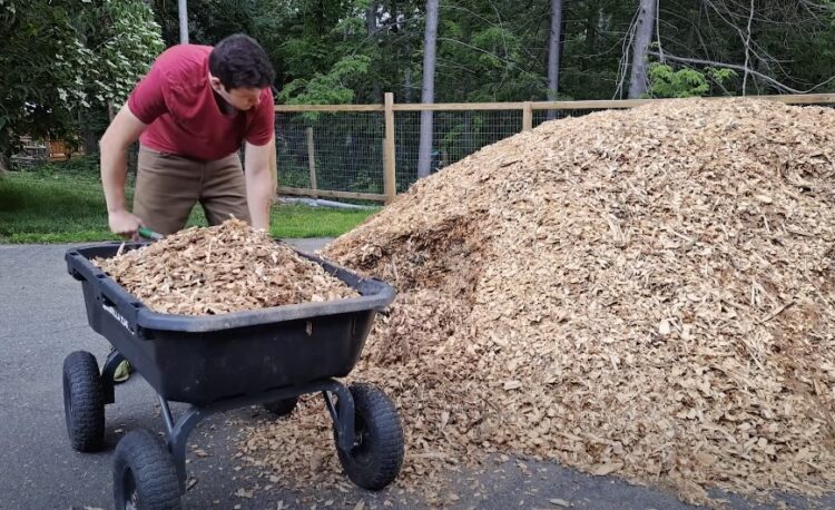 Man using a Gorilla wheelbarrow.